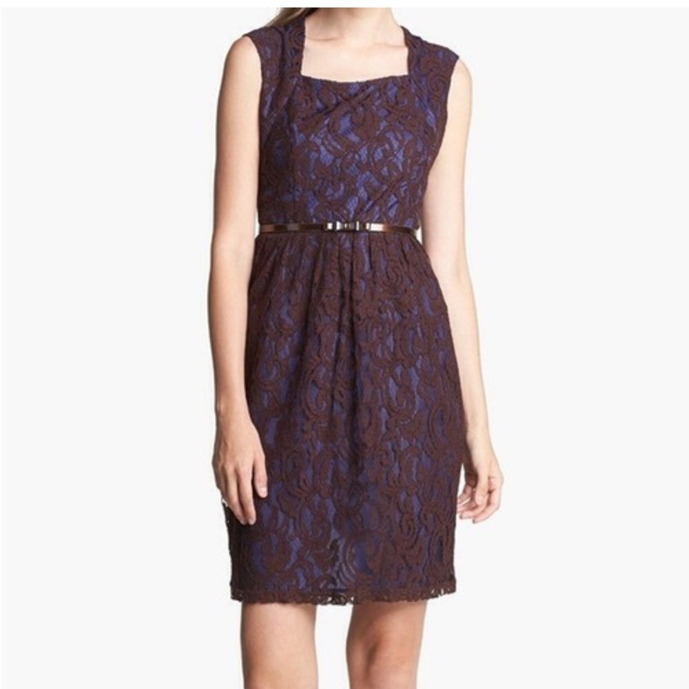 Ellen Tracy Deep Purple & Brown Lace Dress 10 NWOT